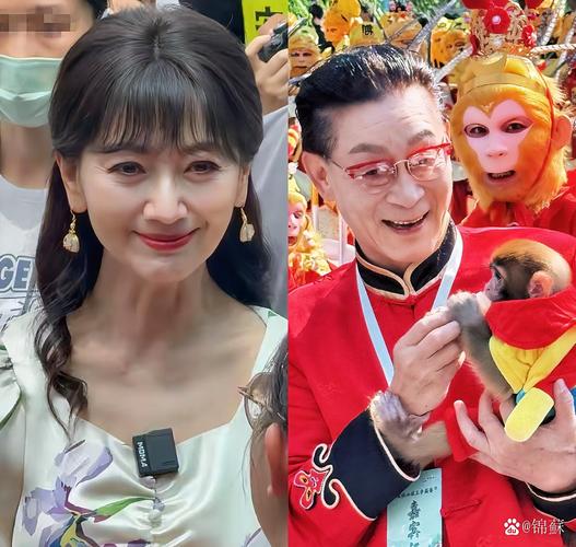 赵雅芝儿子进娱乐圈 星二代如何破圈站稳脚跟