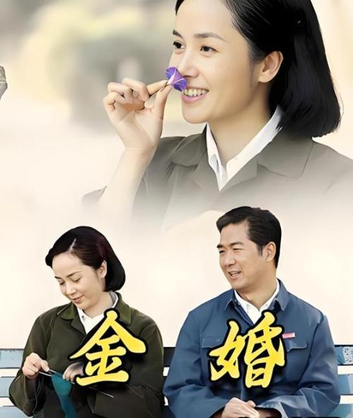 金婚电视剧全集免费策驰影院_金婚电视剧全集cctv_电视剧金婚在线观看