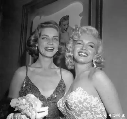 电影女明星 概览_凯拉奈特莉电影作品_好莱坞最美女星排名